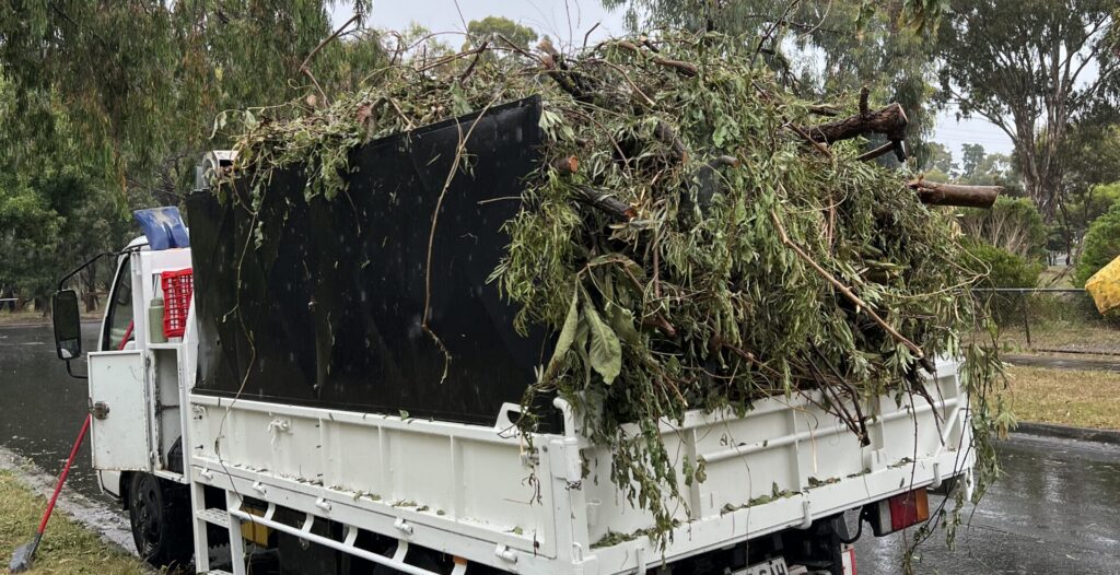 Adelaide Junk Co removal project
